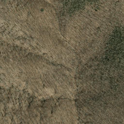 Satellite imagery of Bee Tree Ridge, US
