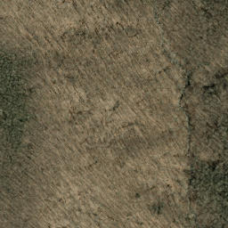 Satellite imagery of Bee Tree Ridge, US