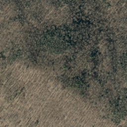 Satellite imagery of Pink Ridge, US