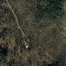 Satellite imagery of Fork Ridge, US