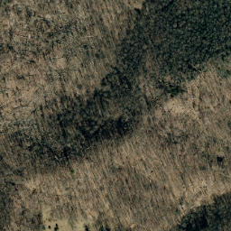 Satellite imagery of Fork Ridge, US