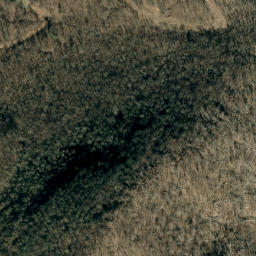 Satellite imagery of Buck Ridge, US