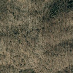 Satellite imagery of Buck Ridge, US