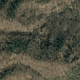 Satellite imagery of Buck Ridge, US