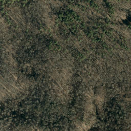 Satellite imagery of Chestnut Flats Mine, US