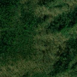 Satellite imagery of Wilson Ridge, US