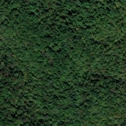 Satellite imagery of Tom Redford Ridge, US