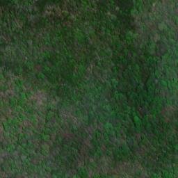 Satellite imagery of Bryson Ridge, US