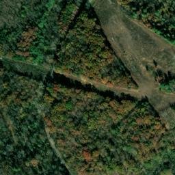 Satellite imagery of Trotter Bluff, US