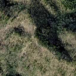 Satellite imagery of Grassy Ridge, US