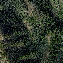 Satellite imagery of Grassy Ridge, US