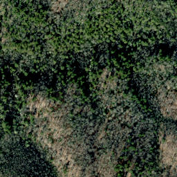 Satellite imagery of Grassy Ridge, US