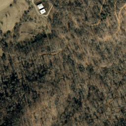 Satellite imagery of Fork Ridge, US