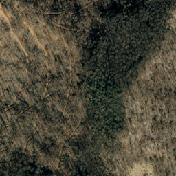 Satellite imagery of Fork Ridge, US