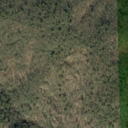 Satellite imagery of Pine Ridge, US