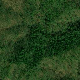 Satellite imagery of Pine Ridge, US