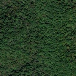 Satellite imagery of Tom Redford Ridge, US
