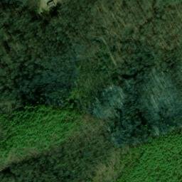 Satellite imagery of Wood Mine, US