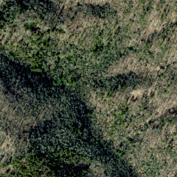 Satellite imagery of Grassy Ridge, US