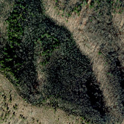 Satellite imagery of Grassy Ridge, US
