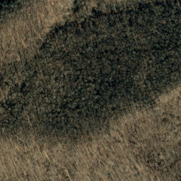 Satellite imagery of Fork Ridge, US