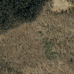 Satellite imagery of Fork Ridge, US