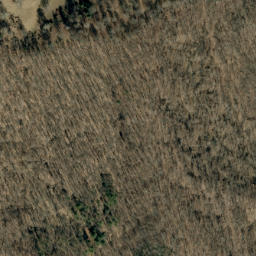 Satellite imagery of Fork Ridge, US
