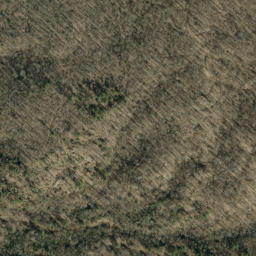 Satellite imagery of Chestnut Flats Mine, US