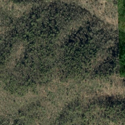 Satellite imagery of Pine Ridge, US