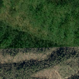 Satellite imagery of Pine Ridge, US