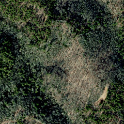 Satellite imagery of Grassy Ridge, US