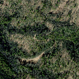 Satellite imagery of Grassy Ridge, US