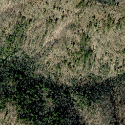 Satellite imagery of Grassy Ridge, US