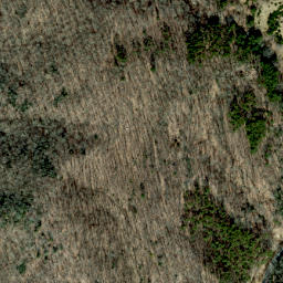Satellite imagery of Ramsey Ridge, US