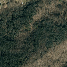 Satellite imagery of Bee Ridge, US