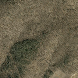 Satellite imagery of Wolfden Ridge, US