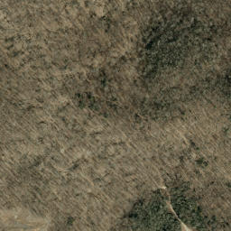 Satellite imagery of Wolfden Ridge, US