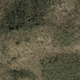 Satellite imagery of Wolfden Ridge, US