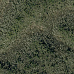 Satellite imagery of Long Arm Ridge, US