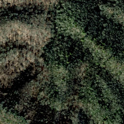 Satellite imagery of Golden Ridge, US