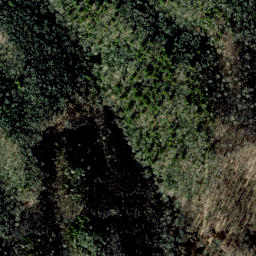 Satellite imagery of Golden Ridge, US