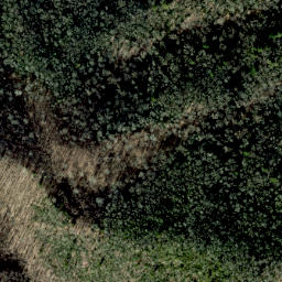 Satellite imagery of Golden Ridge, US
