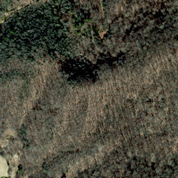 Satellite imagery of Hogback Ridge, US