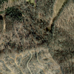 Satellite imagery of Ramsey Ridge, US