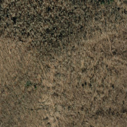 Satellite imagery of Locust Rough Ridge, US