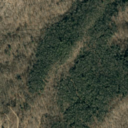 Satellite imagery of Bee Ridge, US