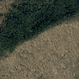 Satellite imagery of Bee Ridge, US