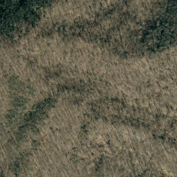 Satellite imagery of Bee Ridge, US