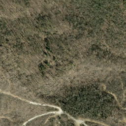 Satellite imagery of Wolfden Ridge, US