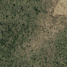 Satellite imagery of Brushy Ridge, US